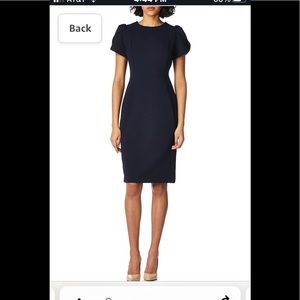 Gorgeous Calvin Klein Women's Tulip Sleeved Sheath Dress EUC Sz 8